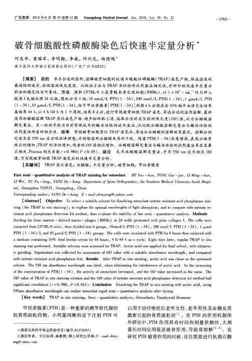 破骨细胞酸性磷酸酶染色后快速半定量分析