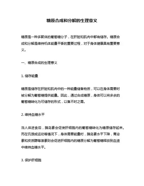 糖原合成和分解的生理意义