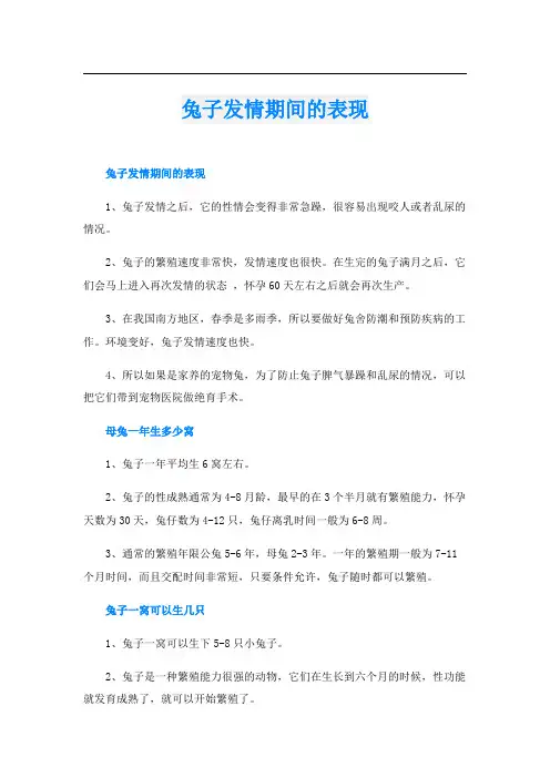 兔子发情期间的表现