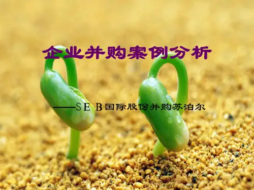 企业并购案例分析-SEB国际股份有限公司并购苏泊尔 模板幻灯片PPT