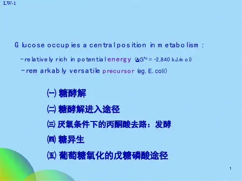 生物化学糖酵解糖异生和戊糖磷酸途径(共63张PPT)