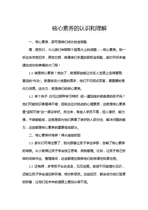 核心素养的认识和理解