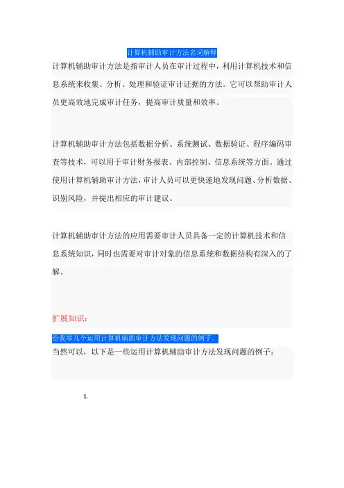 计算机辅助审计方法名词解释