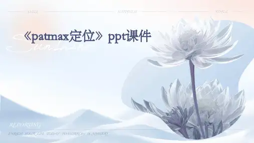 《PATMAX定位》课件