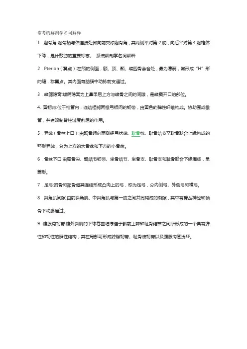 常考的解剖学名词解释