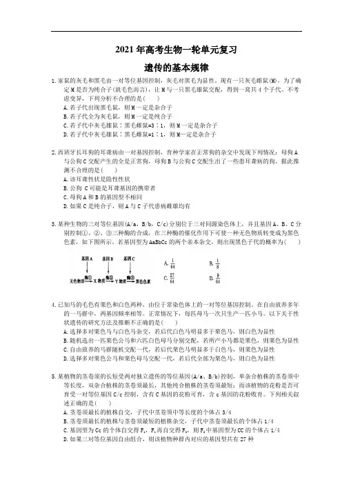 2021年高考生物一轮单元复习 遗传的基本规律(含答案解析)