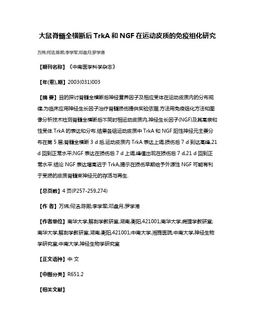 大鼠脊髓全横断后TrkA和NGF在运动皮质的免疫组化研究