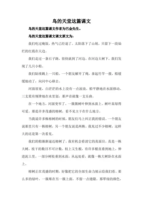 鸟的天堂这篇课文