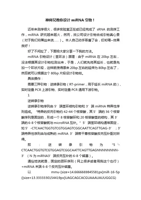 神师兄教你设计miRNA引物！