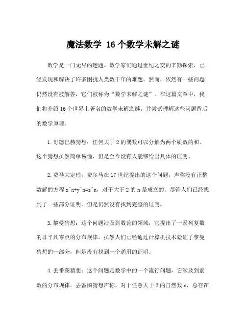 魔法数学 16个数学未解之谜