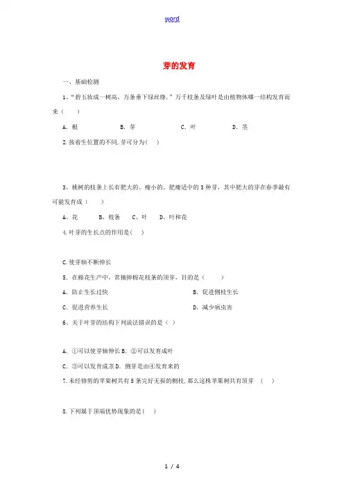 八年级生物上册 3.1.3 芽的发育同步练习 (新版)冀教版-(新版)冀教版初中八年级上册生物试题