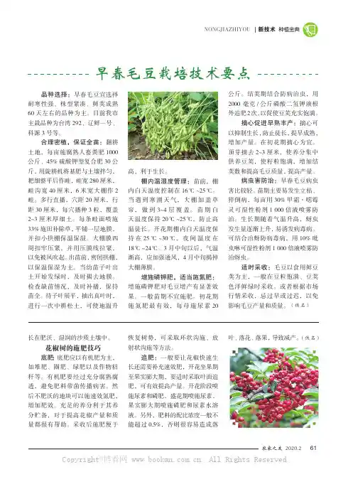 早春毛豆栽培技术要点