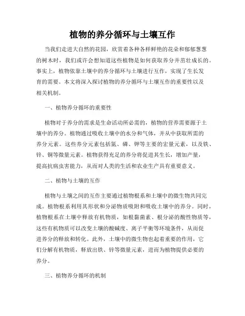 植物的养分循环与土壤互作