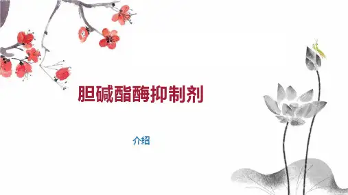 胆碱酯酶抑制剂