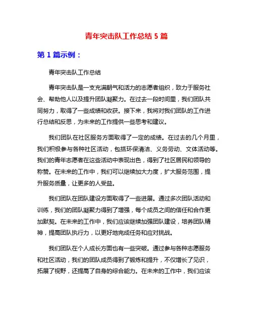青年突击队工作总结5篇