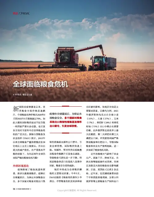 全球面临粮食危机