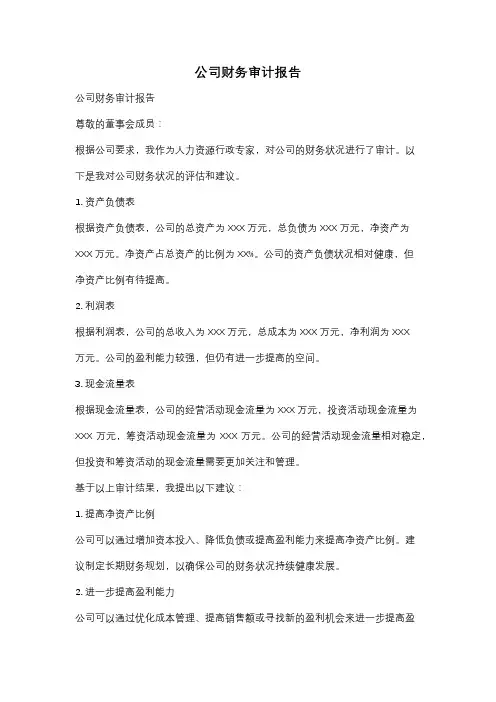 公司财务审计报告