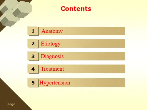 circulatory system循环系统英文资料