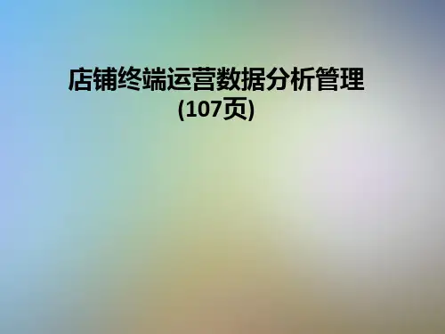 店铺终端运营数据分析管理(107页)