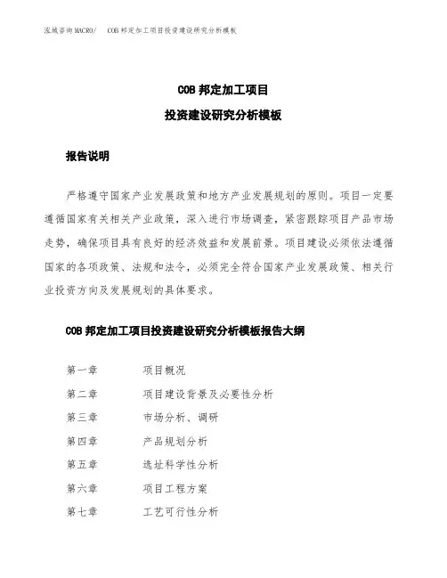 COB邦定加工项目投资建设研究分析模板重点及难点分析