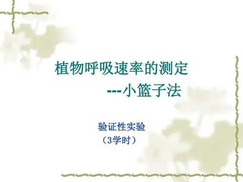 呼吸