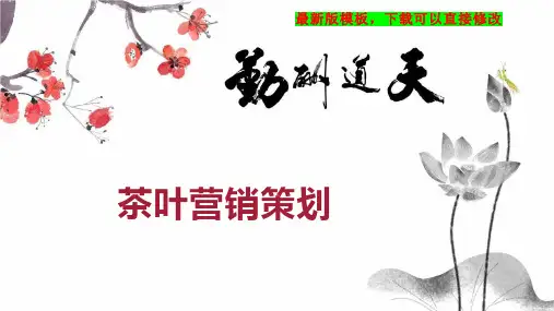 茶叶营销策划PPT模板下载