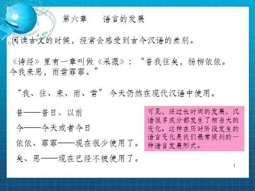 语言学概论第六章 语言的发展_OK