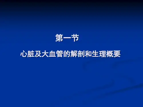 心脏彩超操作ppt课件