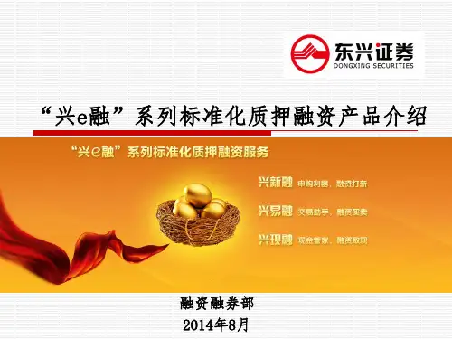 “兴e融”小额股票质押融资业务介绍XXXX.ppt