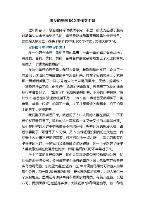 家乡的年味800字作文5篇