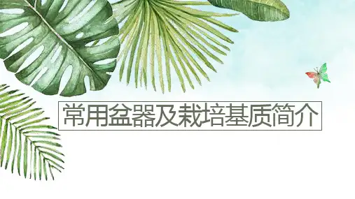 常用盆器及栽培基质简介