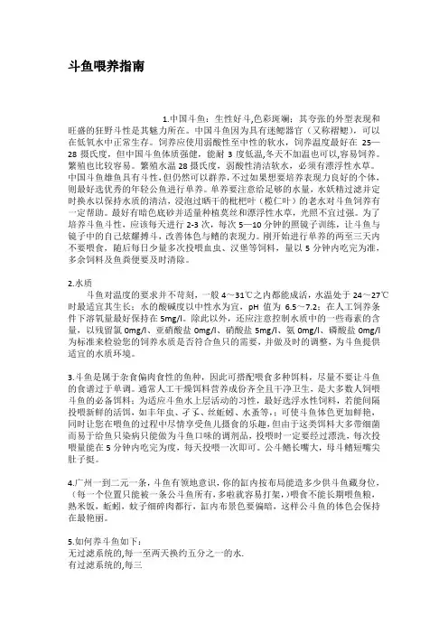 斗鱼喂养指南
