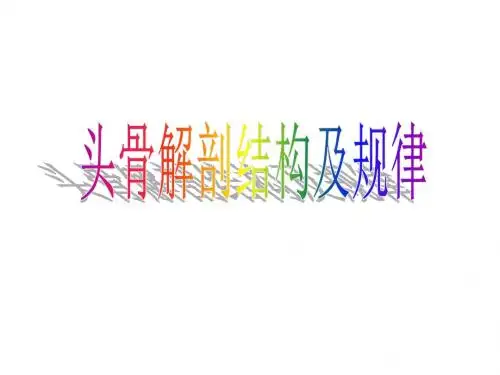 头骨解剖结构及规律