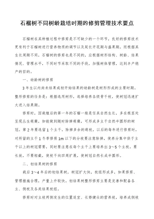 石榴树不同树龄栽培时期的修剪管理技术要点