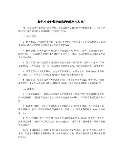 绿色小麦种植的田间管理及技术推广