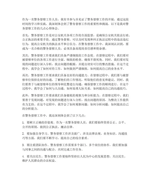 警务督察工作心得体会