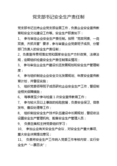 党支部书记、纪检委员、工会主席安全生产责任制