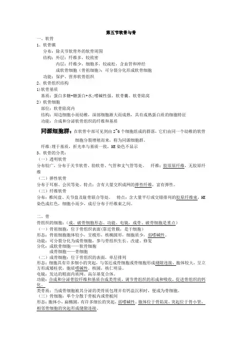 解剖生理第五章 软骨与骨分章节重点+课后习题