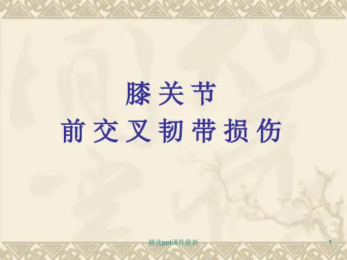前交叉韧带PPT课件