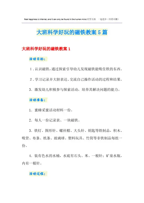大班科学好玩的磁铁教案5篇