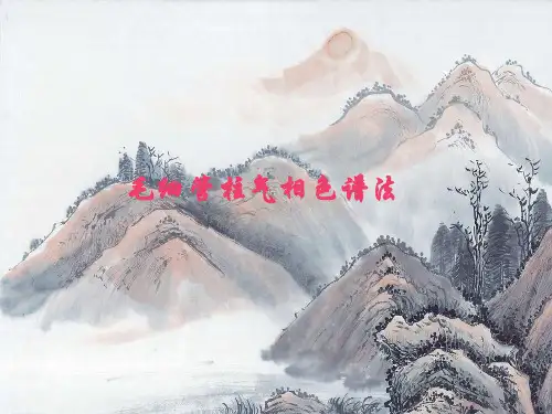 毛细管柱气相色谱法