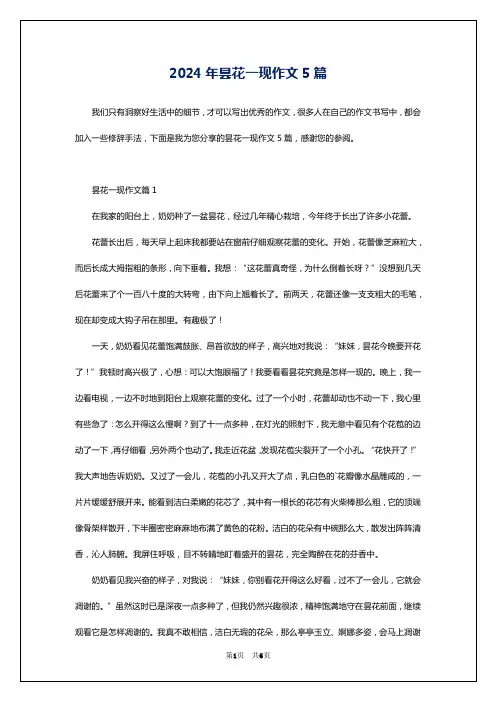 2024年昙花一现作文5篇