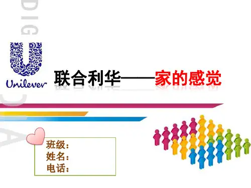 企业文化联合利华