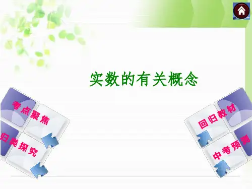 北师大中考数学复习方案课件实数的有关概念