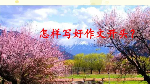 初中语文人教七年级上册作文开头写作技巧PPT