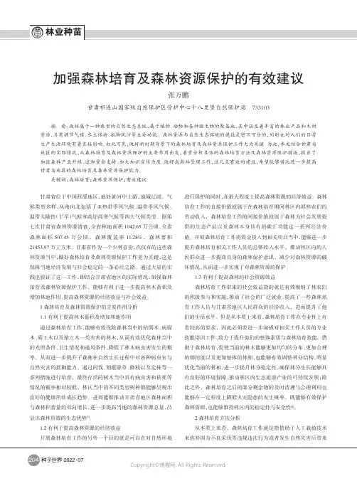 加强森林培育及森林资源保护的有效建议