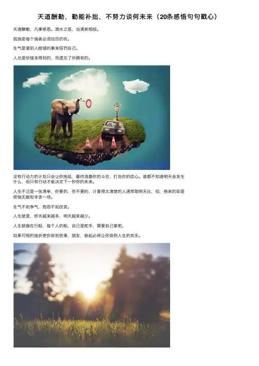 天道酬勤，勤能补拙，不努力谈何未来（20条感悟句句戳心）
