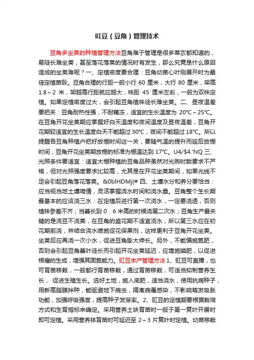 豇豆（豆角）管理技术