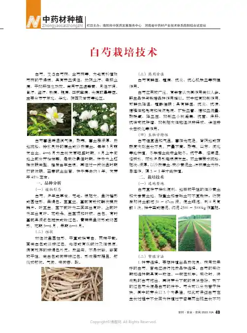 白芍栽培技术