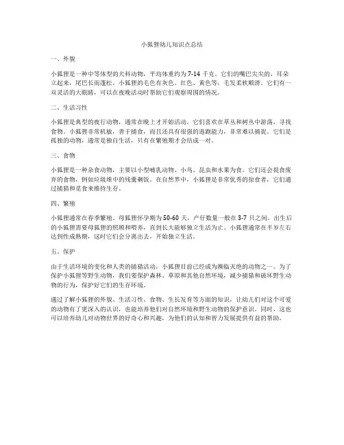 小狐狸幼儿知识点总结